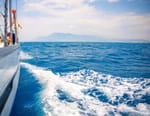 On Board
