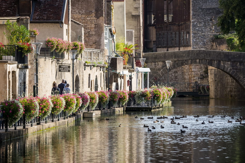 Le Canal des Tanneurs et la ville de Dole
