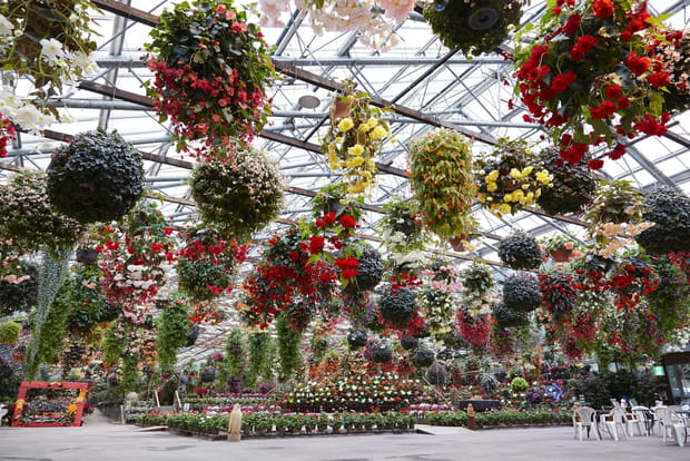 Ces 20 perles du Japon : Le Matsue Vogel Park