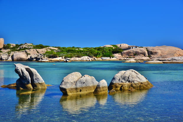 L'Île Cavallo au large de Bonifacio