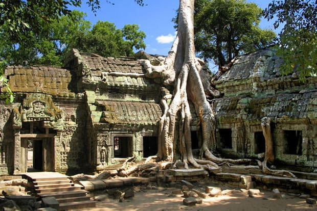 L'invasion de la nature à Angkor