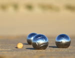 Pétanque : Championnats de France Triplette Mixte