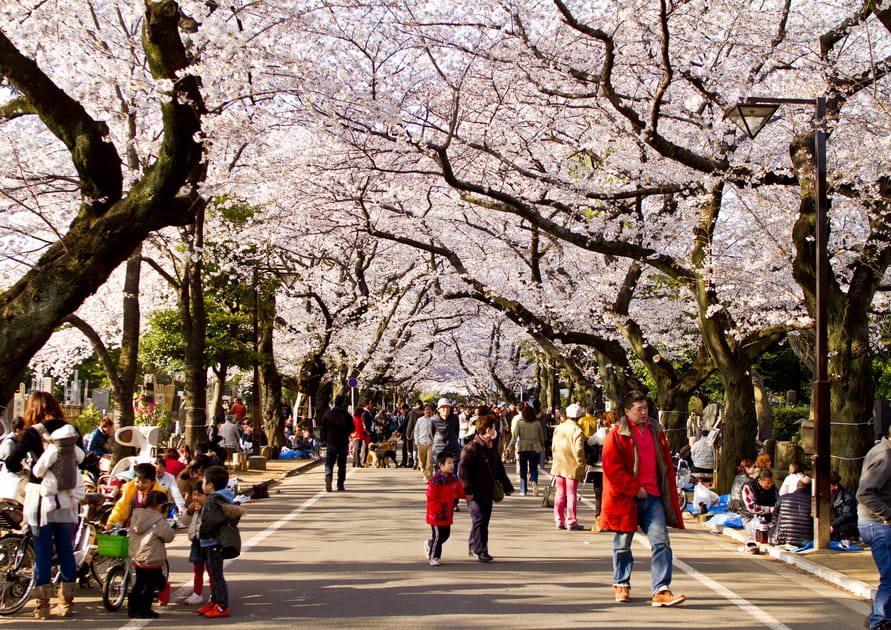 Yanaka, le vieux Tokyo pr&eacute;serv&eacute;