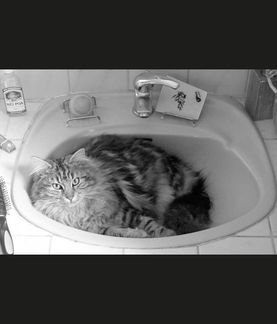 Je me sens bien dans mon bain