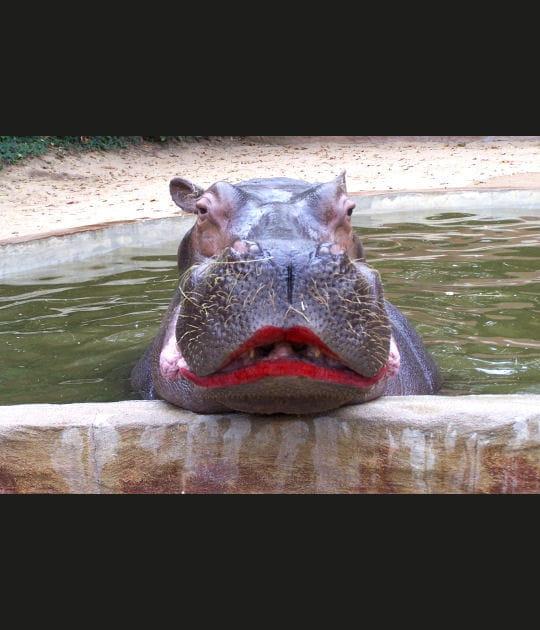 Big bisou&nbsp;?