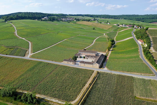 Les côteaux historiques de Hautvillers et vendengeoir Ste Hélène