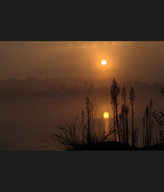 Soleil dans la brume