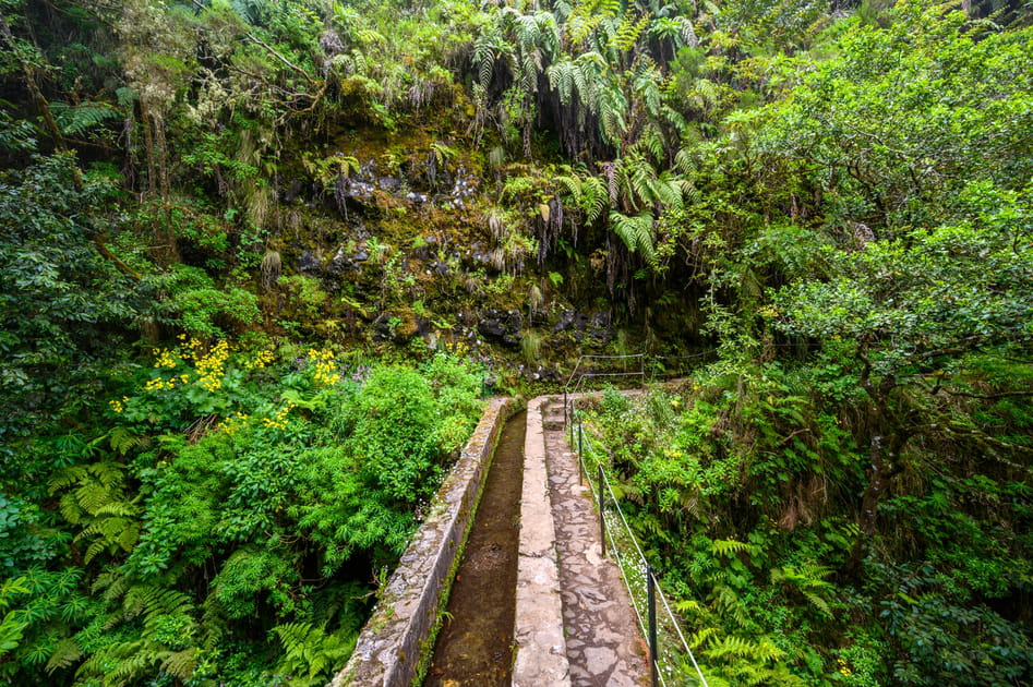 20&nbsp;lieux coup de c&oelig;ur &agrave; Mad&egrave;re&nbsp;: Levada do Caldeir&atilde;o Verde