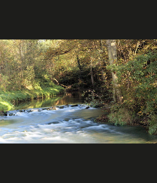 Douce rivi&egrave;re d'automne