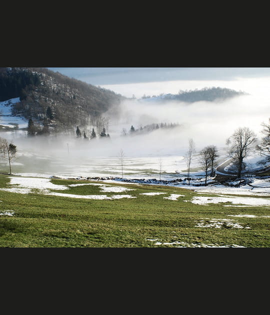 Vosges