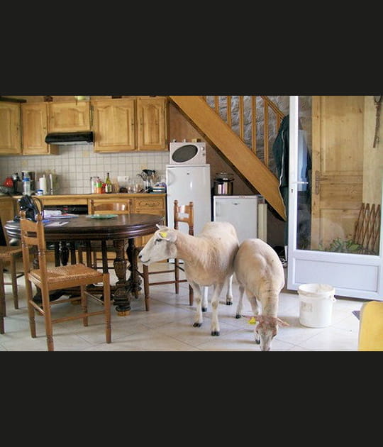 Visite de la maison