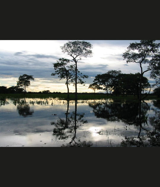 Reflets sur l'eau