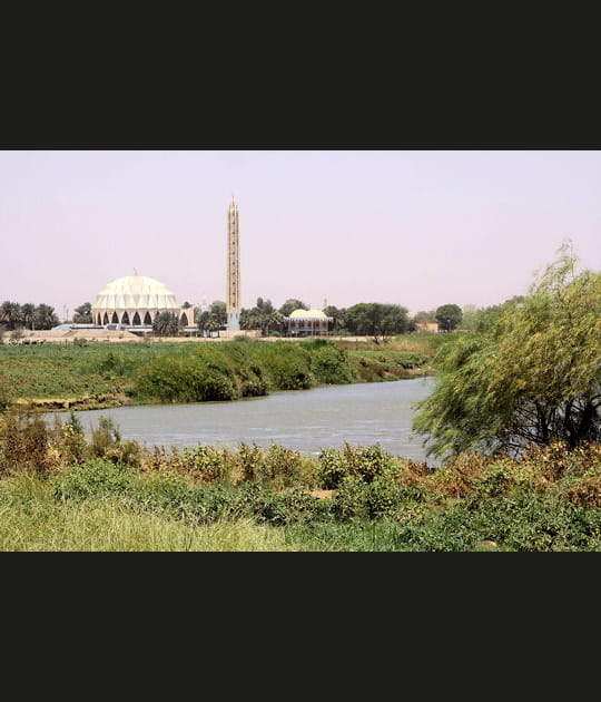 Khartoum&nbsp;: la trompe d'&eacute;l&eacute;phant