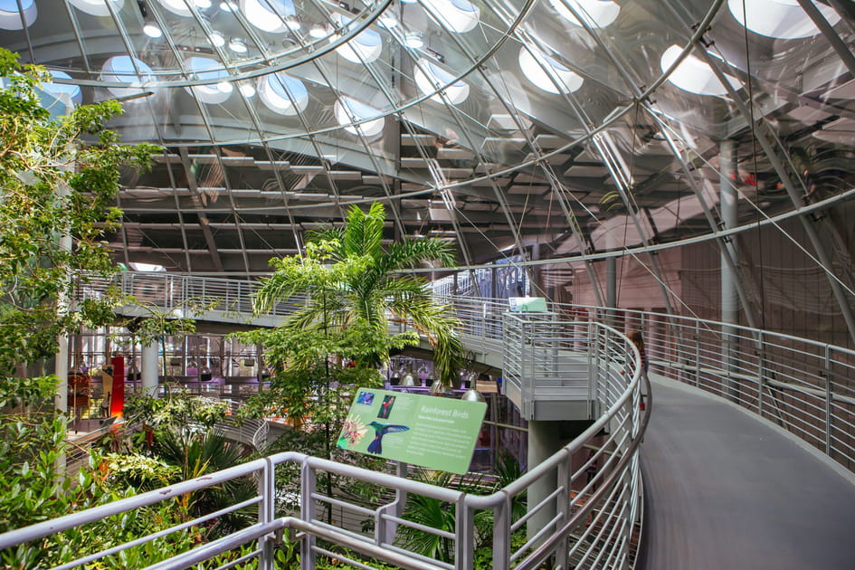 L'Acad&eacute;mie des sciences de Californie