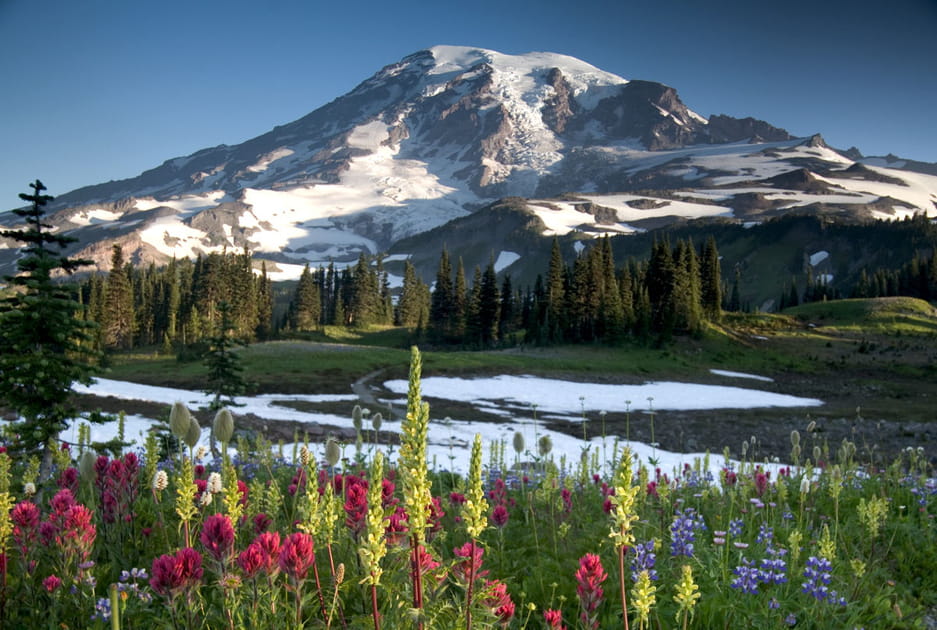 Mont Rainier pr&egrave;s de Seattle