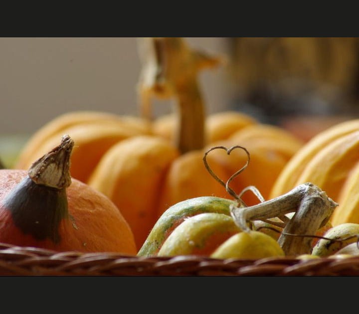 Courge en coeur