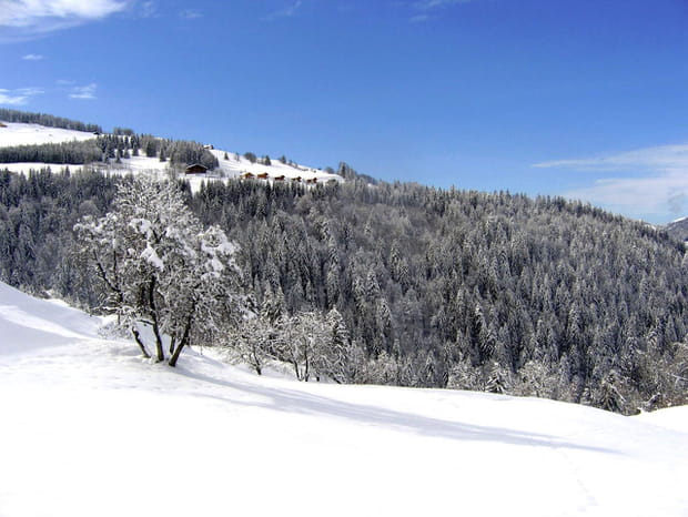 Notre-Dame de Bellecombe