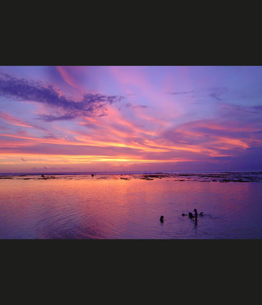 Mauve &agrave; Saint-Gilles-les-Bains