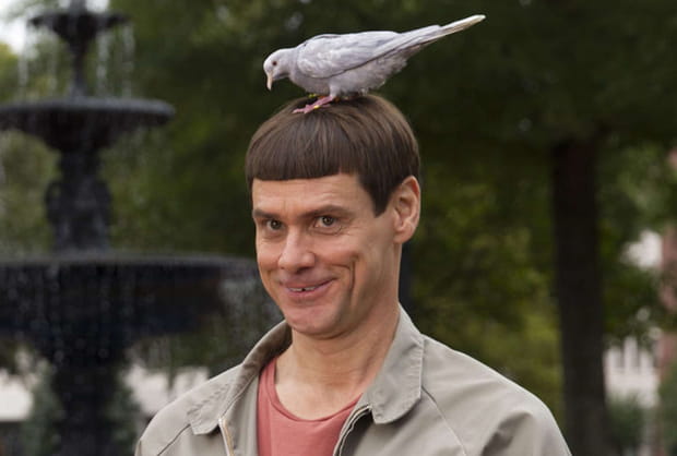 Dumb & Dumber