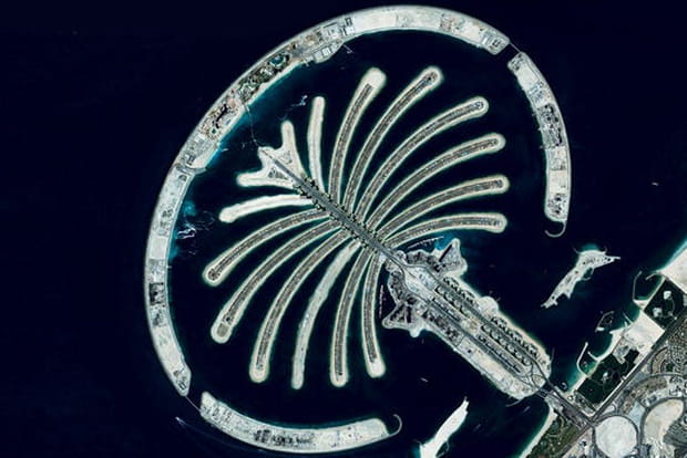 Palm Jumeirah, le palmier-dattier