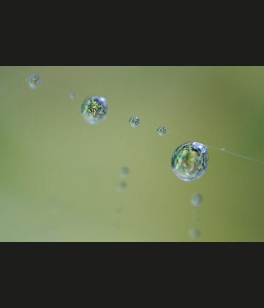 Water world