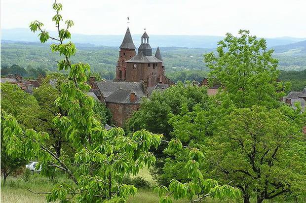 Du rouge dans un amas de vert