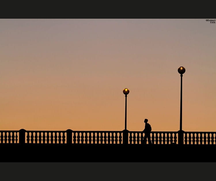 Cr&eacute;puscule parisien