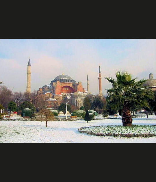 Les palmiers sous la neige &agrave; Istanbul