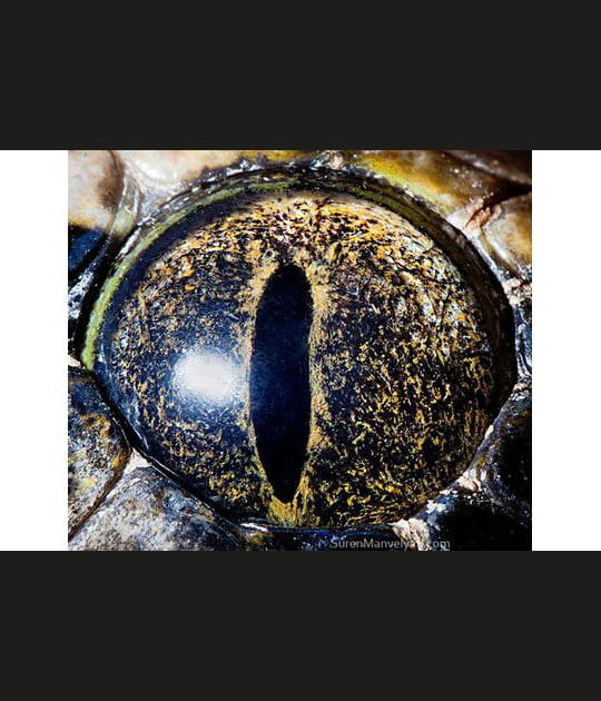 Une technique myst&eacute;rieuse