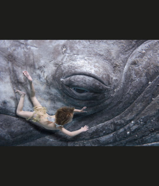 Un b&eacute;b&eacute;-nageur et une baleine