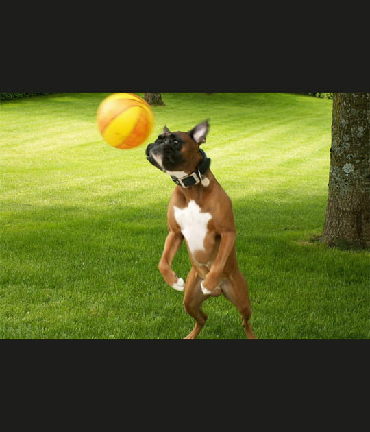Joueur de foot