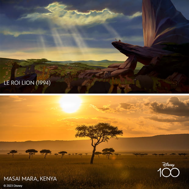 Ces lieux ont inspiré les studios Walt Disney et vous pouvez les visiter : Masai Mara dans "Le Roi lion"