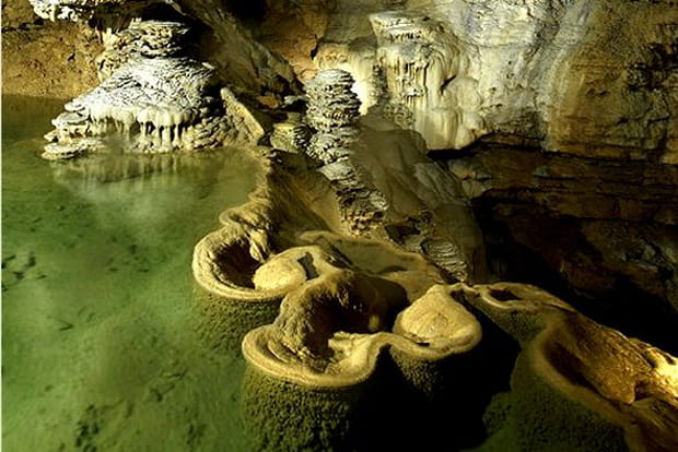 Drôles de bénitiers