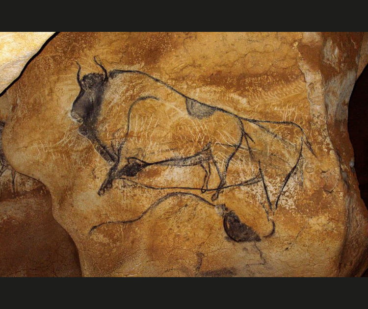 Bison dessin&eacute; au charbon de bois