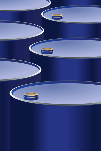 Une flamb&eacute;e des prix du baril de p&eacute;trole