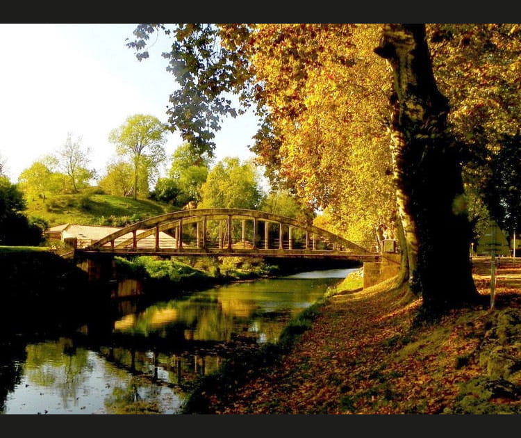 Petit pont paisible en Gironde
