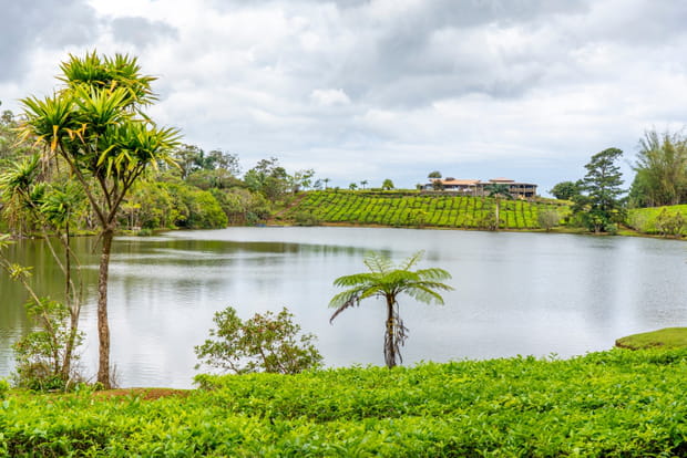 Ces spots inoubliables ou surprenants de l'Ile Maurice : Domaine de Bois Chéri