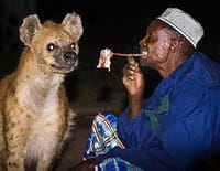 Les hyènes de Harar