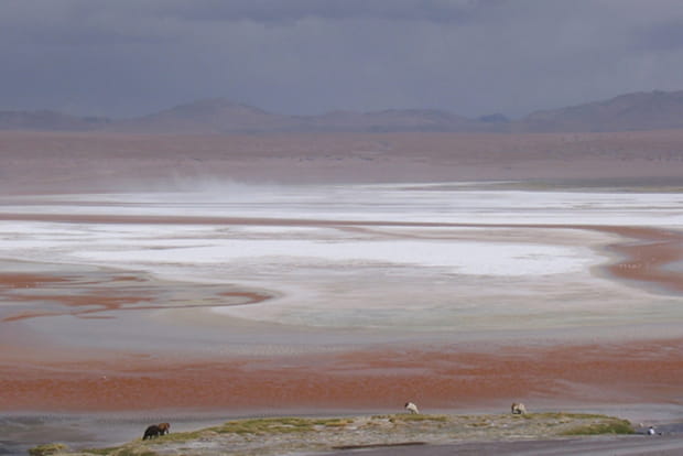 Couleurs et contrastes