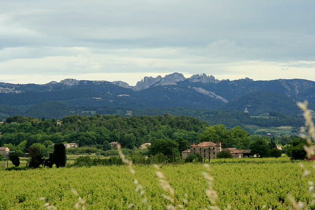 Les Dentelles de Montmirail