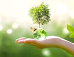 La minute verte