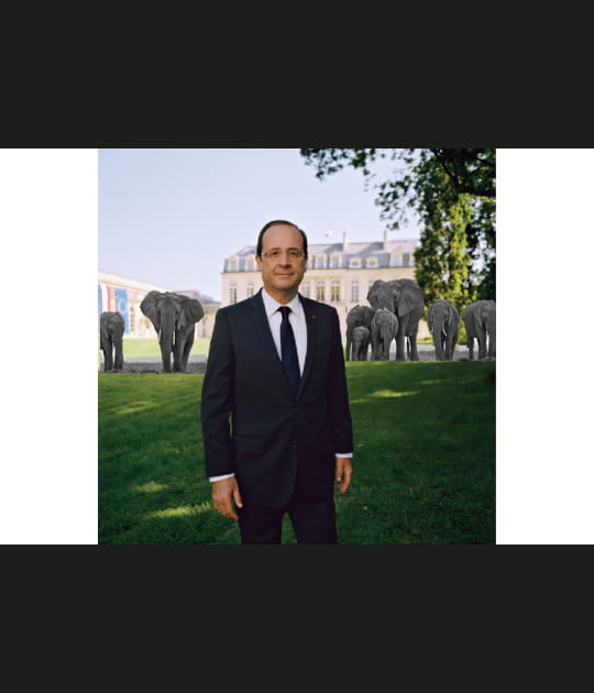 Les &eacute;l&eacute;phants au pouvoir