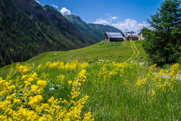 Le Parc naturel régional du Queyras