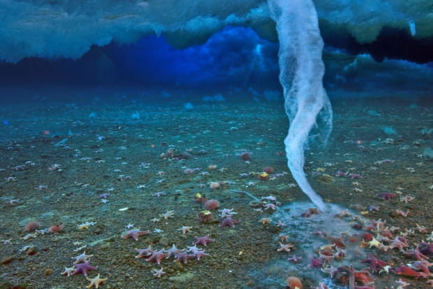 Les gracieuses brinicles