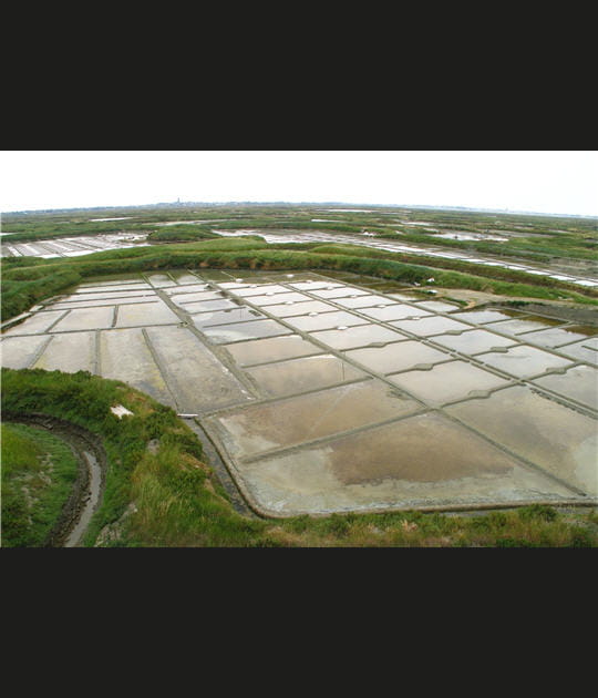 Les &eacute;tiers serpentent les mar&eacute;es