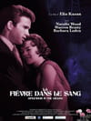 La Fièvre dans le sang