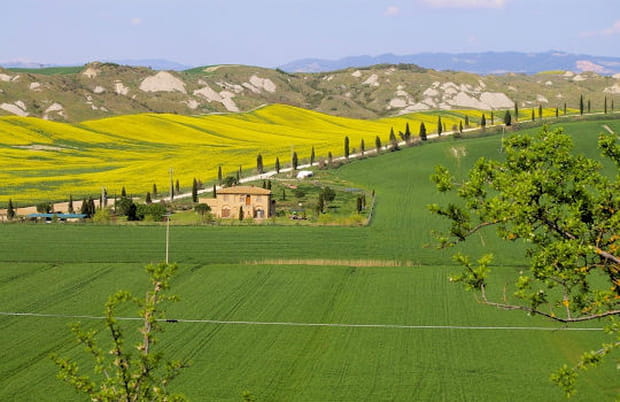 Paysages au pinceau