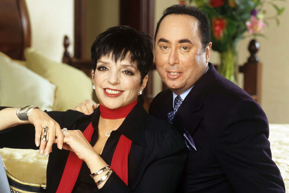 Liza Minnelli et David Gest&nbsp;: proc&egrave;s en s&eacute;ries