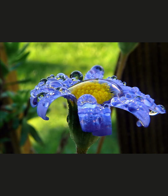 Nature plaisir