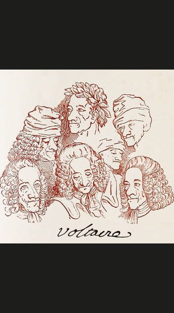 Genre litt&eacute;raire : &oelig;uvres satiriques et engag&eacute;es